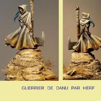 Guerrier Danu/ Danu Warrior by herf