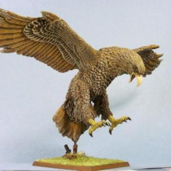 Giant Eagle by 101