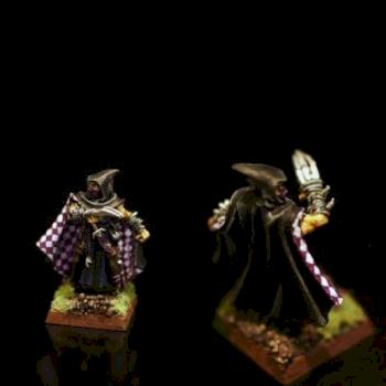 Dark Elves- Assassin by Maeve