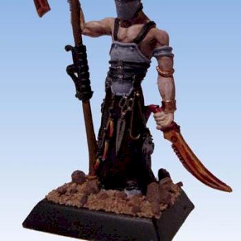 Confrontation - Hallebardier de Dirz by niko