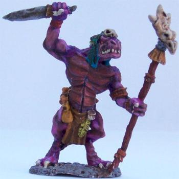 Lizardman Shaman by fizzerchris