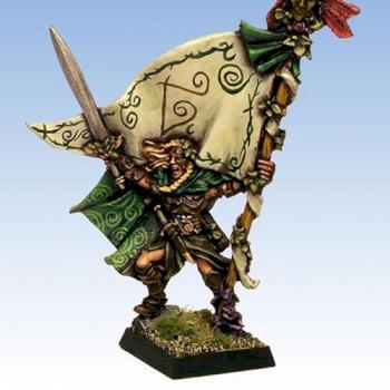 Wood Elf Standard bearer by Sonny