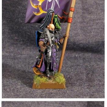 Dark Elf Standart Bearer by Diarsid
