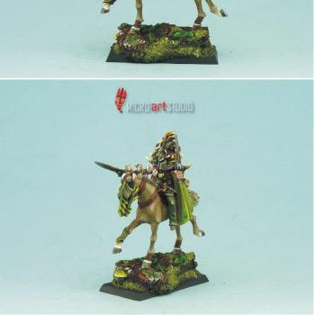 Wood Elf Lord Mounted by annarossa