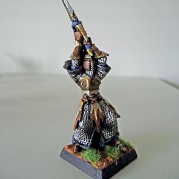 Dark Elf Executioner by Wayne