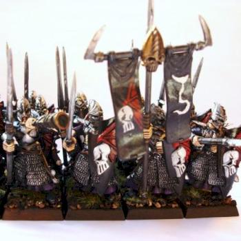 Régiment 15 guerriers elfes noirs / dark elf by Lamenoire