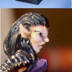 apprentie maitre des betes elfe noir / dark elf by Lamenoire