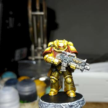 Imperial fist intercessor by regis