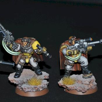 Imperial Fists Scouts by miniaturesshop