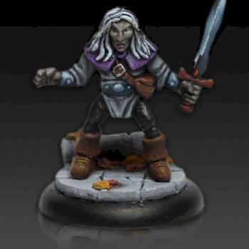 Drow Heroquest by Coclea