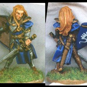 Elf Paladin by bleakphoenix