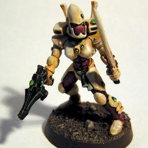 Eldar - Stormguardian by Freg from FeuWeuh
