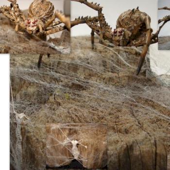 Monstrous Spider by cpstrattton67