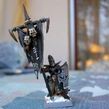 Converted dark elf standard bearer by Titoeuf