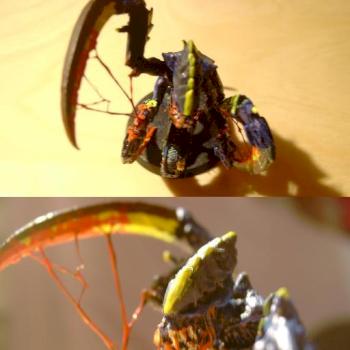 Tyranid Gore Ravener by Nuklearwaffel