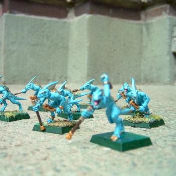 My first Skinks by megakronkel