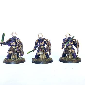 Bladeguard Veterans of the Soul Drinkers by Overman