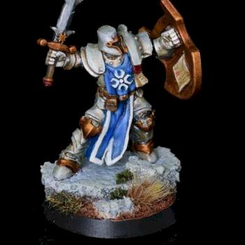 Crusader Champion by ShattuckEW