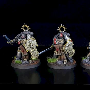 Black Templar Bladeguard Veteran Squad by George1
