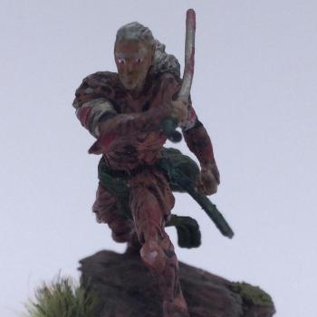 elf fighter in forest by Isaiah
