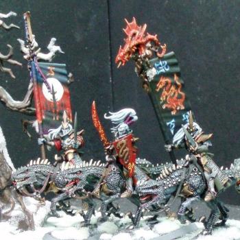 Converted Dark Elven Cavalry by miniaturz