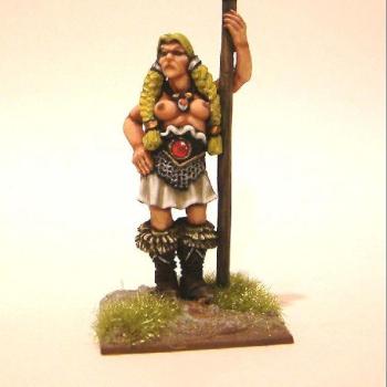 Female Viking Warrior by Tidyfiguremaker