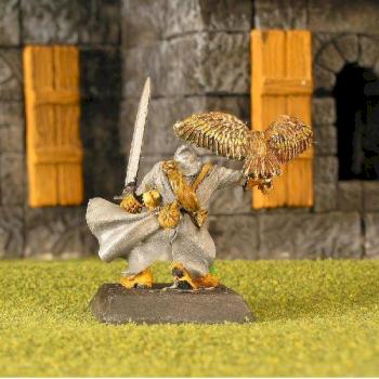 falconer  rear view by Voltbang