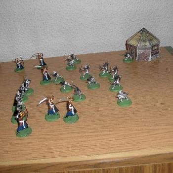 My own Battle for house with goblins ,elf and gondor men by polos
