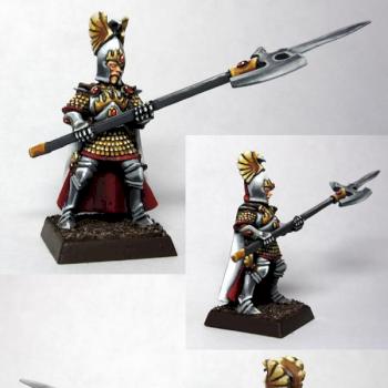 High Elf Phoenix Guard by Phan4tom