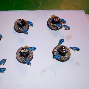 Objective Markers by Xaintailles