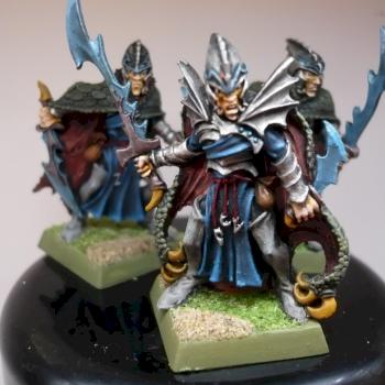 Dark Elves Corsairs by pintandoconnando