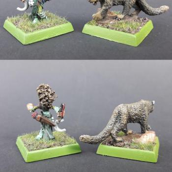 Lini, Iconic Gnome Druid and Droogami, Snow Leopard by DavethaDon