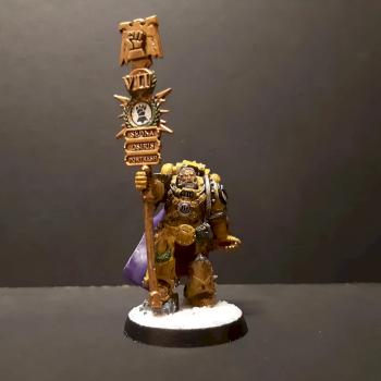 Converted imperial fist legion herald by Bouboufreak
