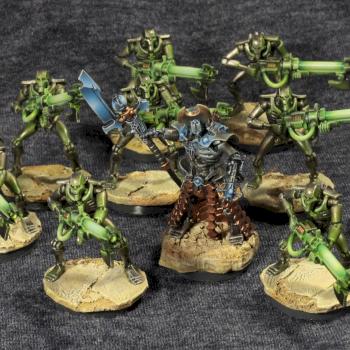 Anrakyr the traveller & Necron warriors by Satarothhh