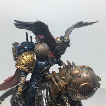 Fear The Falconer by DokOrk