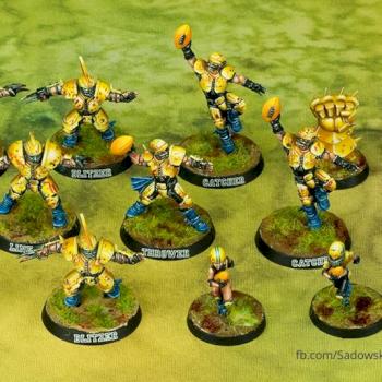 Blood Bowl Human Team by Sadziu