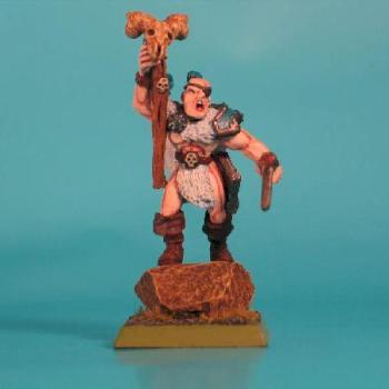 Bjorn the Pale  chaos marauder shaman by josiah