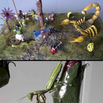 WORLD OF INSECTS by TUTORETO