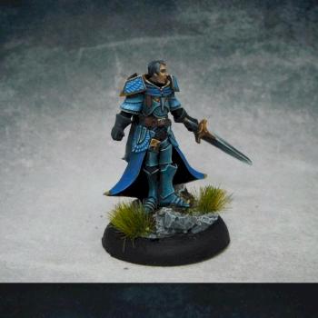 Paladin by miniking