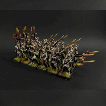 Fenix Guard / Guardia del Fenix by terrynor