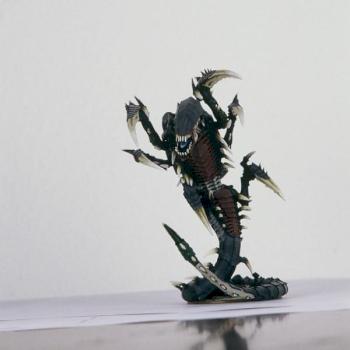trygon by Freddy the Teddy
