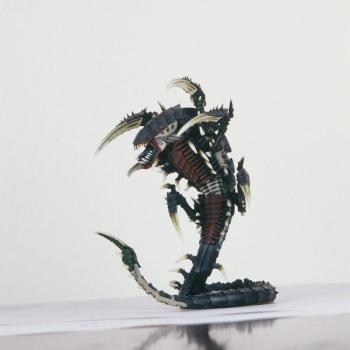 Trygon by Freddy the Teddy