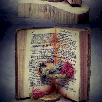 Cendrillon by Matpaint