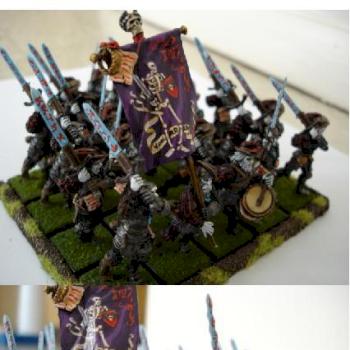my drakenhof guard by wonkobaggins