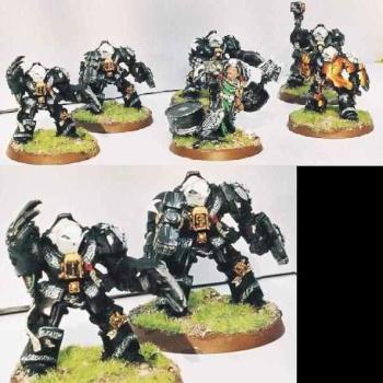 Black Templar Assault Termis by fraggL