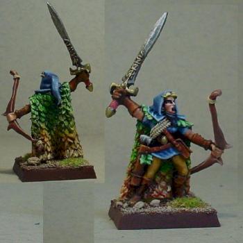 Wood Elf Hero by stevedaccs