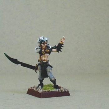 Witch Elf Champion by stevedaccs
