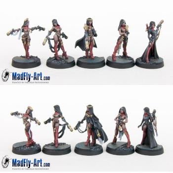 Daughters of the Crucible All Stars Command Group by MadFlyArtStudio