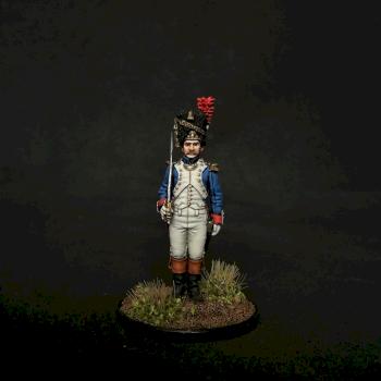 Napoleonic French Grenadier officer 28mm by jibster