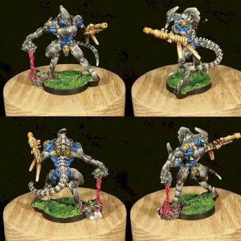 Skiavoros by TomDarkman